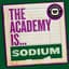 The Academy Is...