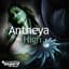 Antheya