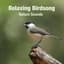 Nature Sounds