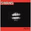 Swans