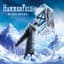HammerFall