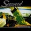 Seaweed