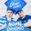 Animal Cannibals