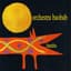 Orchestra Baobab