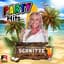 Schnitte