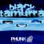 Phunk Investigation