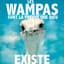 Les Wampas