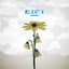 Relient K