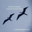 Philippe Rivrain - Diaenoxe Band