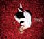Acid Black Cherry