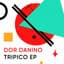 Dor Danino