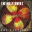 The Wallflowers