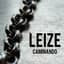 Leize