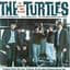 The Turtles