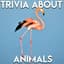 Trivia Questions