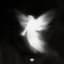 Ghost Stories