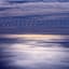 Quiescent State