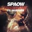 Spaow