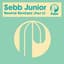 Sebb Junior