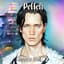 Pellek