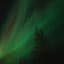 lifeforms