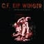 Kip Winger