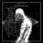 Body Void