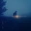 .diedlonely
