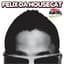 Felix da Housecat