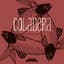 Coladera