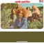 Earth & Fire