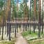 Nordic Wilderness