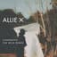 Allie X
