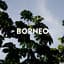 Borneo