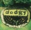 Dodgy