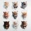Von Hertzen Brothers