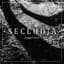 Secludja
