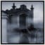 Sonsombre