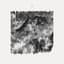 JMSN