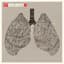 Relient K