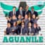 Orquesta Aguanile