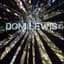 Dominic Lewis