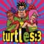 The Turtles