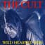 The Cult