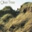 Quinn XCII