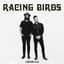 Racing Birds