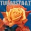 Turbostaat