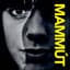 Mammút