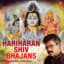 Shiv-Hari