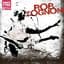 Rob Tognoni